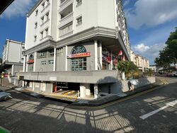 Emerald Hill Road (D9), Shop House #455449891